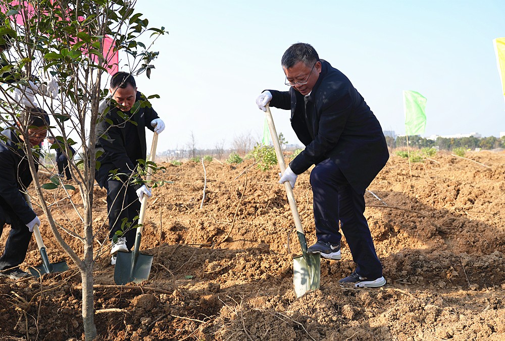 ͩ�ǿ�չ2026�괺������ֲ���